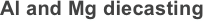     Al and Mg diecasting
